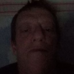 ��������� �������, �����-���������, 49 ���