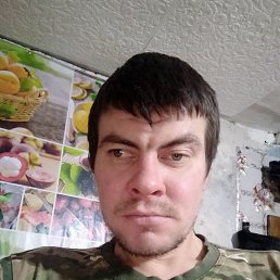 ��������, 33 ����, ����