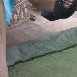 �����, ���������, 62 ����