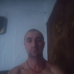 , 46 , 