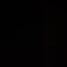 ���������, ������, 21 ���