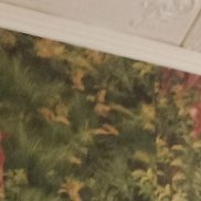 �������, 53 ����, �����������