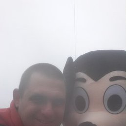 �����, �����, 44 ����