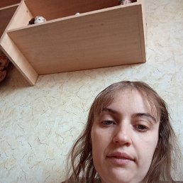 ��������, 37 ���, ����