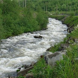 ���� ���, ��������� - ��������� 29 ������ 2025