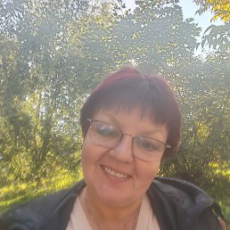 , 62, 