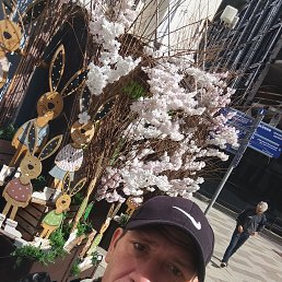 ���� ������, �������, 40 ��� - ��������� 5 ������ 2026