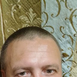 ���� ������, �����-���������, 44 ���� - ��������� 28 ���� 2025