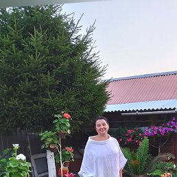 ������, �����-���������, 65 ���