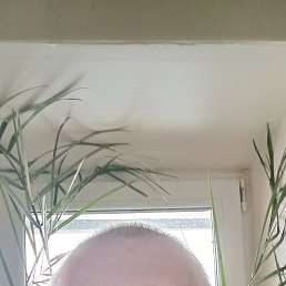 ���� ������, ������� ����, 51 ��� - ��������� 16 ����� 2026