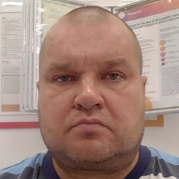 ����, �������, 40 ���