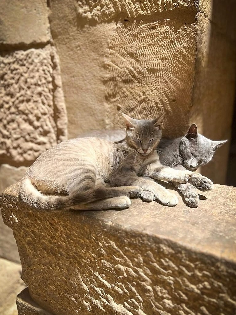     .      .       ,   ... - 3