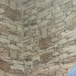 ��������, ������, 46 ���