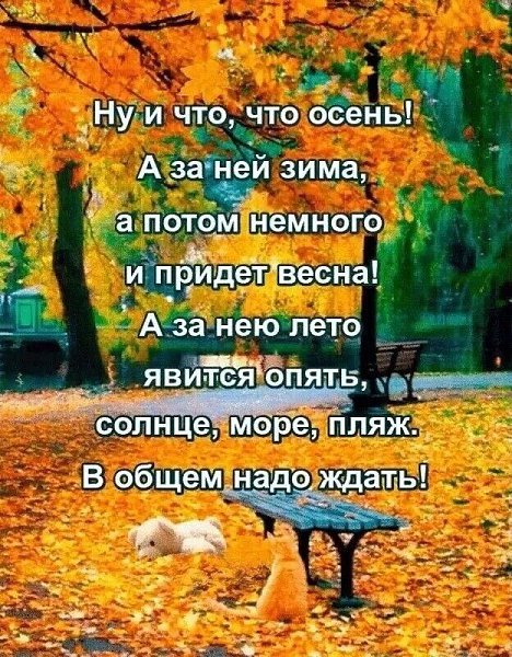   - 12  2024  22:49