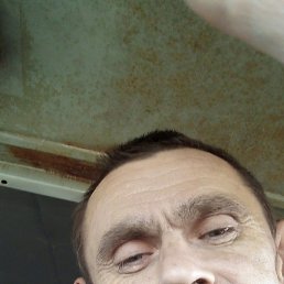 ������, ���������, 56 ���