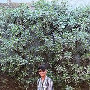 Arsh, 18 ���, ����