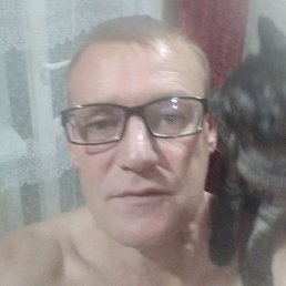 �������� �������, �����, 41 ���