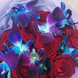 �������, �����-���������, 47 ���