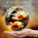 ���� �������, ����, 66 ��� - ��������� 24 ������ 2026