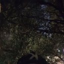 ���� �����, ������, 28 ��� - ��������� 7 �������� 2025 � ������ ���� ����������