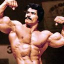 ���� ������, �����, 40 ��� - ��������� 24 ������ 2026 � ������ ���� ����������