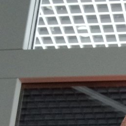 ������, ��������, 46 ���