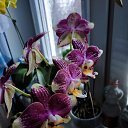 ���� �������, ������ - ��������� 14 ������� 2025 � ������ ���� �������