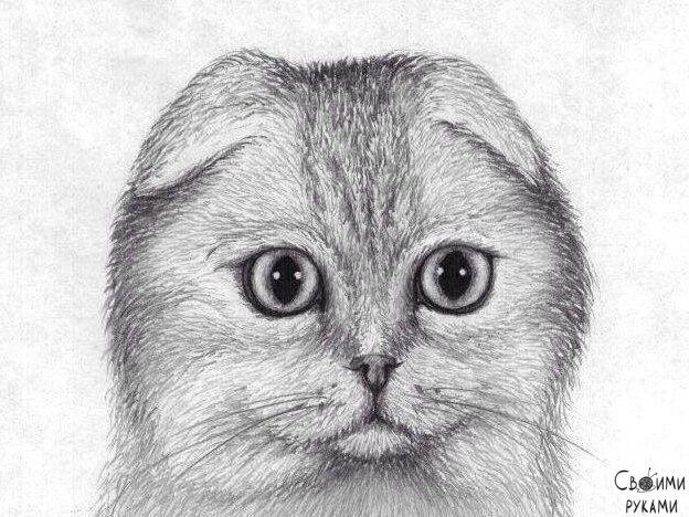 ������ ������ ������� ���������� - 6