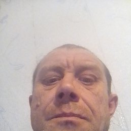 ���������, ����, 43 ����