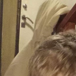 ������, �����������, 42 ����