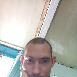 , 31 , 