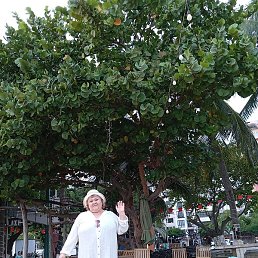 �������, ������, 60 ���