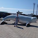���� ����, ���������, 47 ��� - ��������� 6 ����� 2025 � ������ ���� ����������