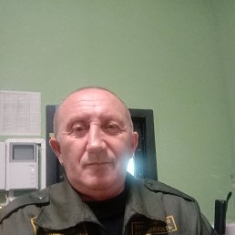 , 55, 