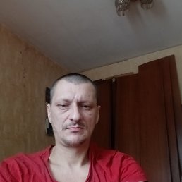 ������, 41 ���, ������