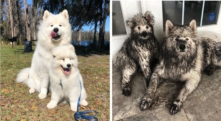 ����� ������� ����� ����� ����� �� ��������� �����