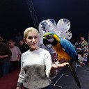 ���� �������, �������, 63 ���� - ��������� 21 ������� 2025