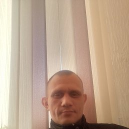 ������, �����������, 37 ���