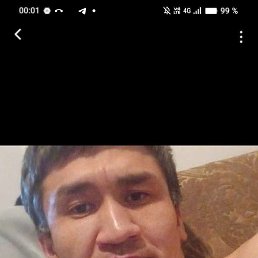, 33, 