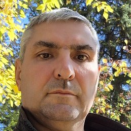 ������, �������, 50 ���