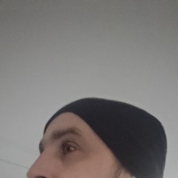 ��������, �������, 38 ���