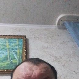 ����, 48 ���, ������