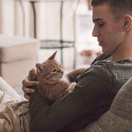 �����, �������