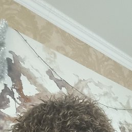 �������, �����������, 42 ����