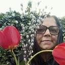 ���� ��������, ���������, 52 ���� - ��������� 14 ������ 2025 � ������ ���� ����������
