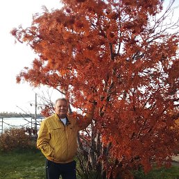 ���� ���������, ������, 57 ��� - ��������� 2 ������ 2023