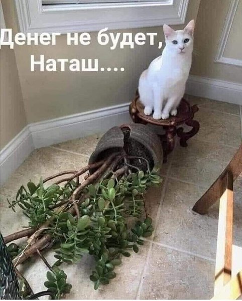  - 22  2024  16:47