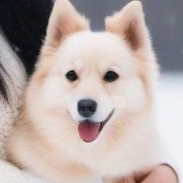 Olenka, �����������, 34 ����