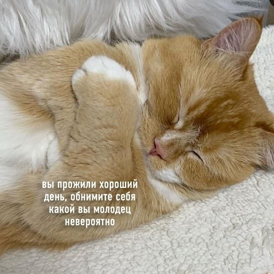 ���������� �� ����, ��� ������� ���� ��������� - 6