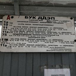 ���� �����, ������, 59 ��� - ��������� 20 ������� 2023